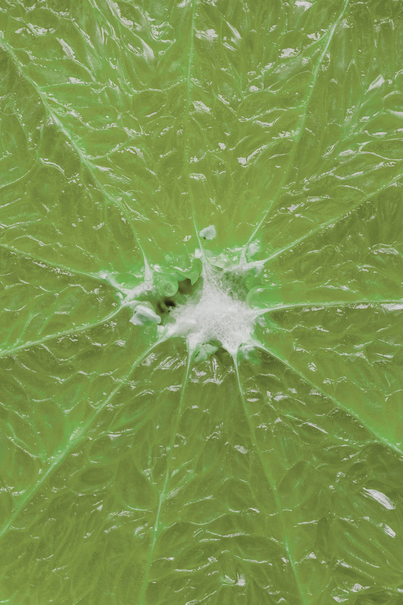BERGAMOT