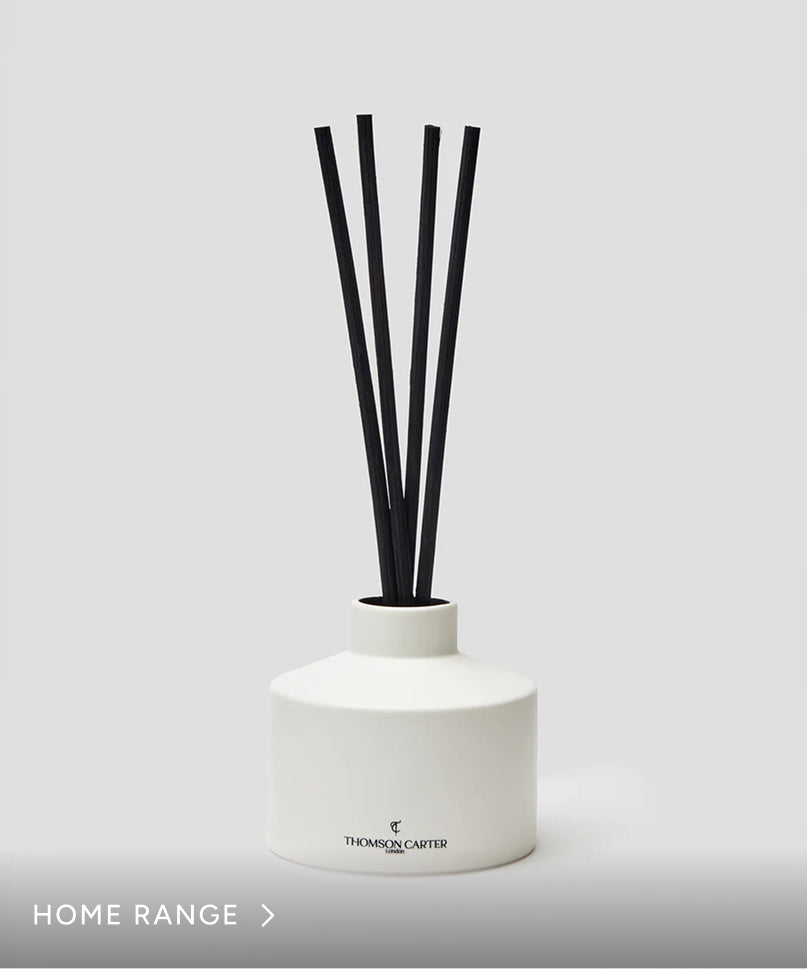 {{ title }} collection image