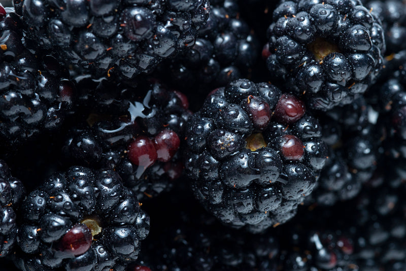 FOREST FRUITS, ORANGE ZEST