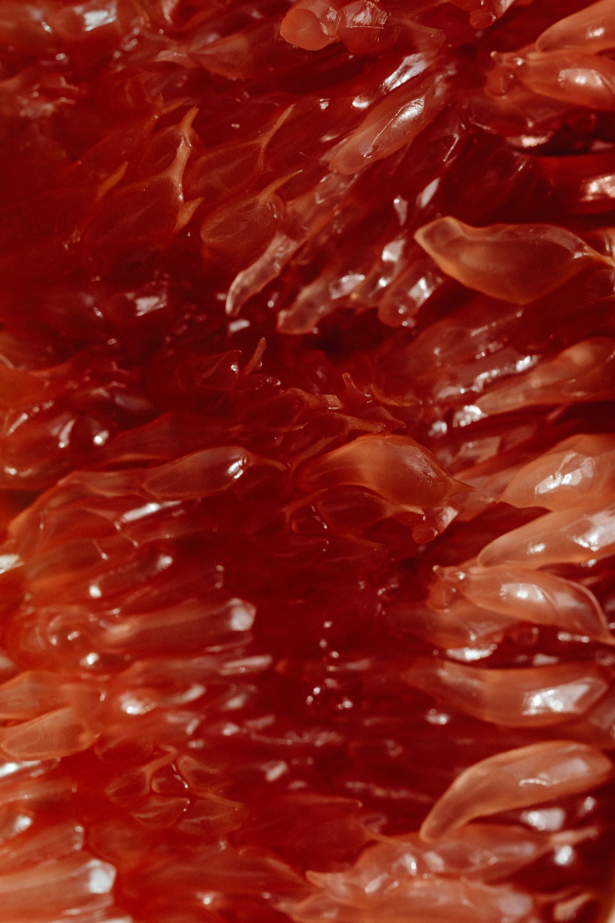 Redroom | Eau de Parfum | 2ml