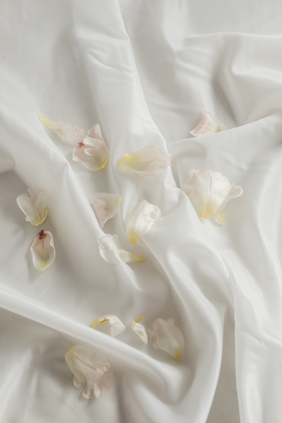 Lilium Blume | Eau de Parfum | 2ml