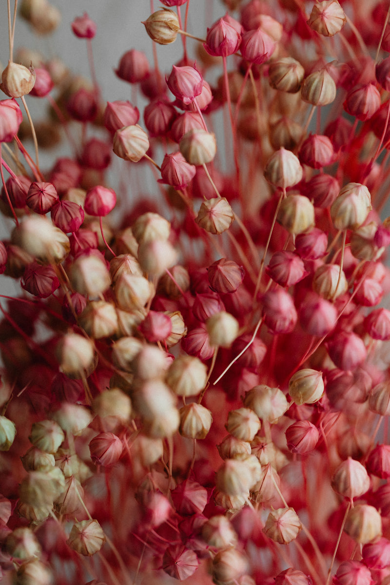 PINK PEPPER