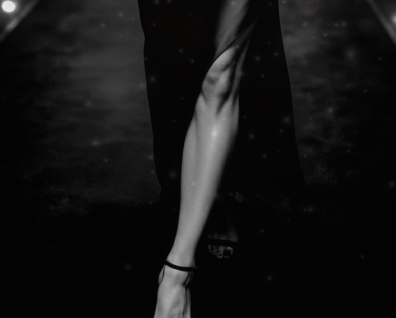 THE PREMIERE COLLECTION